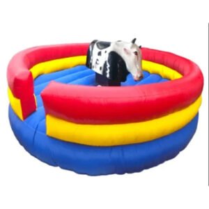 Mechanical Bull Ride