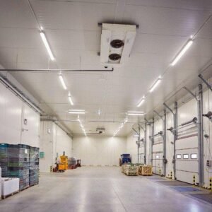 cold storage 7